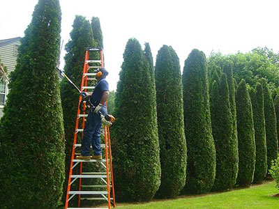 Landscaping Franklin, MA