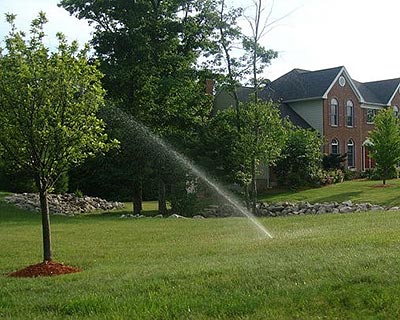 Lawn Care Milford, MA